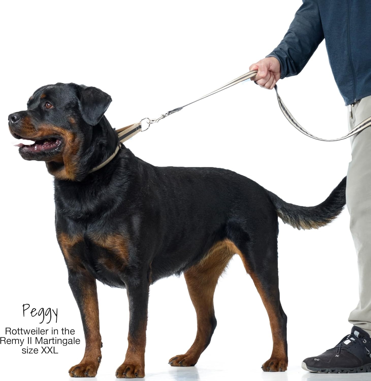 image:imagePet Passion Remy II The Recycled Ribbon Martingale Adjustable Collar NoPull Pet Training Collars Dogs Pink Camo LargePink Camo