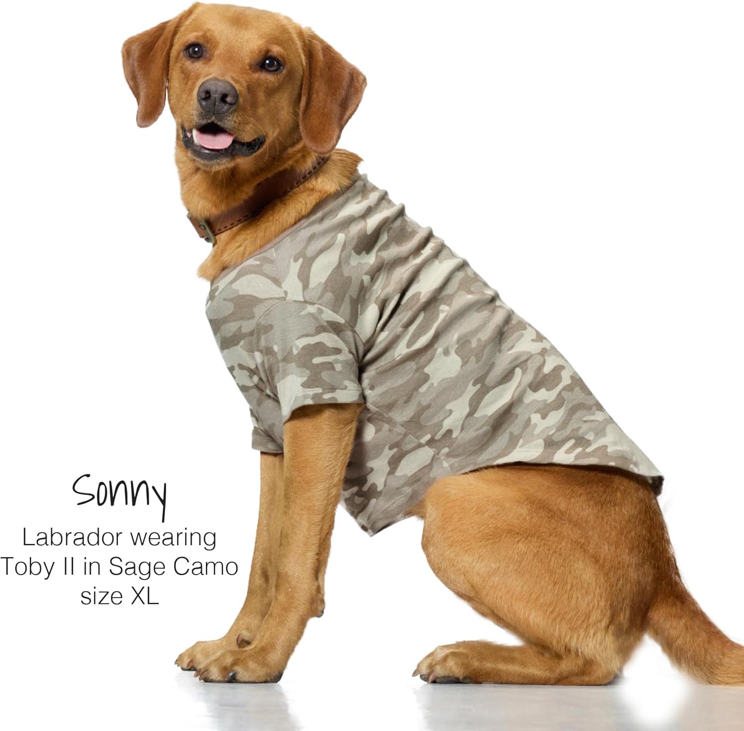 image:imagePet Passion Toby II The Perfect Tee 3 Pack Short Sleeve Pet TShirt 100 Organic Cotton Tees Clothes for Small Medium Large Dogs Black Sand Tie Dye XSmall 512 lbsSage Camo