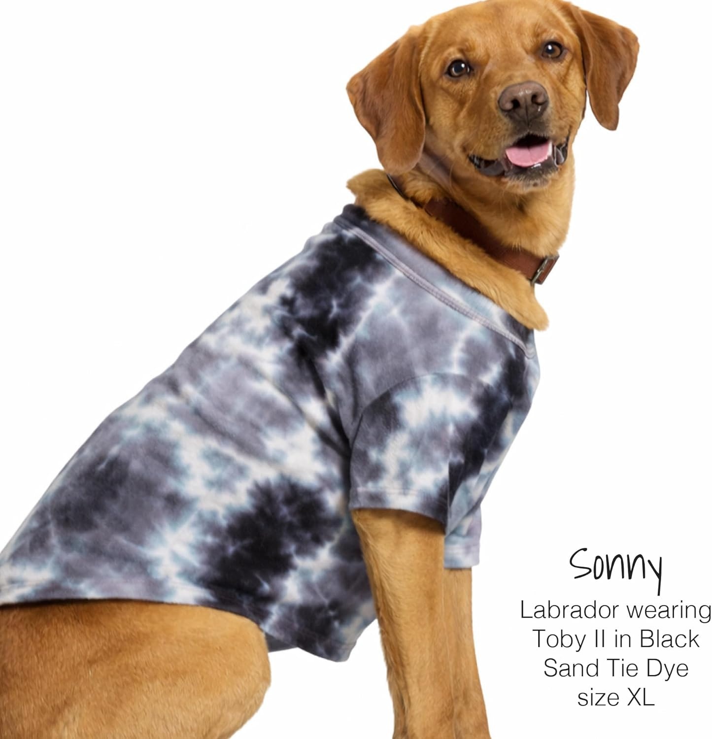 image:imagePet Passion Toby II The Perfect Tee 3 Pack Short Sleeve Pet TShirt 100 Organic Cotton Tees Clothes for Small Medium Large Dogs Black Sand Tie Dye XSmall 512 lbsBlack Sand Tie Dye