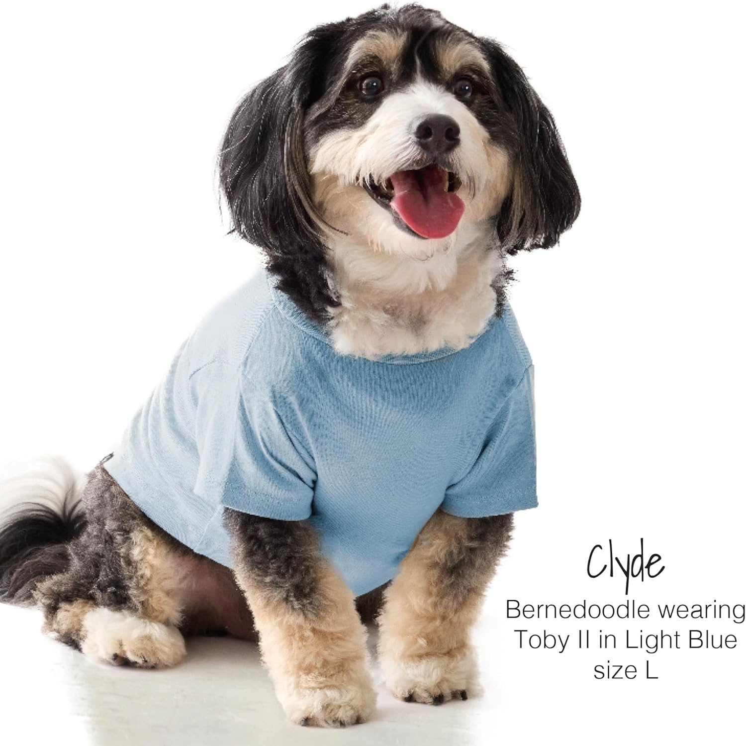 image:imagePet Passion Toby II The Perfect Tee 3 Pack Short Sleeve Pet TShirt 100 Organic Cotton Tees Clothes for Small Medium Large Dogs Black Sand Tie Dye XSmall 512 lbsNavy Camo