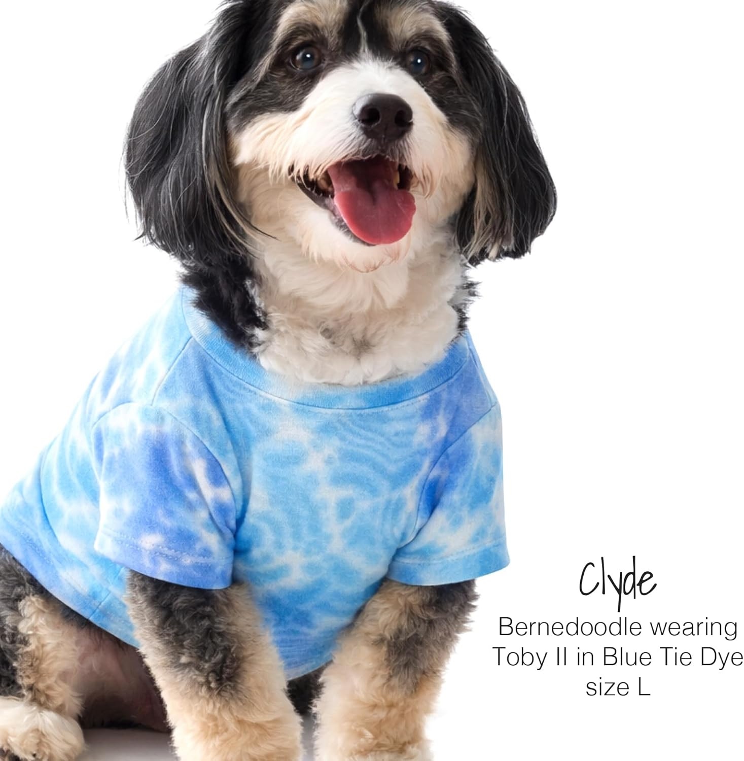 image:imagePet Passion Toby II The Perfect Tee 3 Pack Short Sleeve Pet TShirt 100 Organic Cotton Tees Clothes for Small Medium Large Dogs Black Sand Tie Dye XSmall 512 lbsBlue Tie Dye