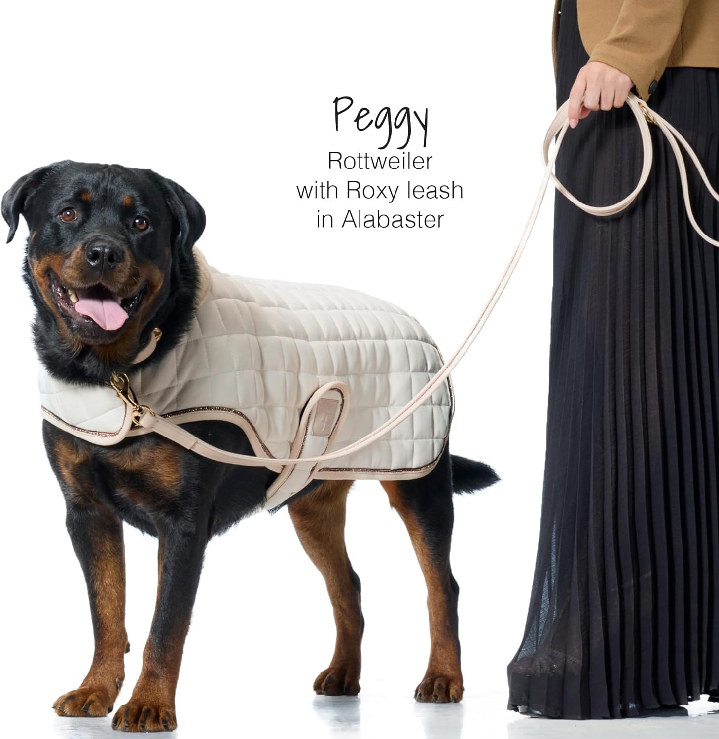 image:imageRoxy The Crystal Bling Leash Durable Heavy Duty Vegan Leather with Brass and Crystals Pet Leashes 6 Ft for Small Medium and Large Dogs Blush One SizeBlack Bling