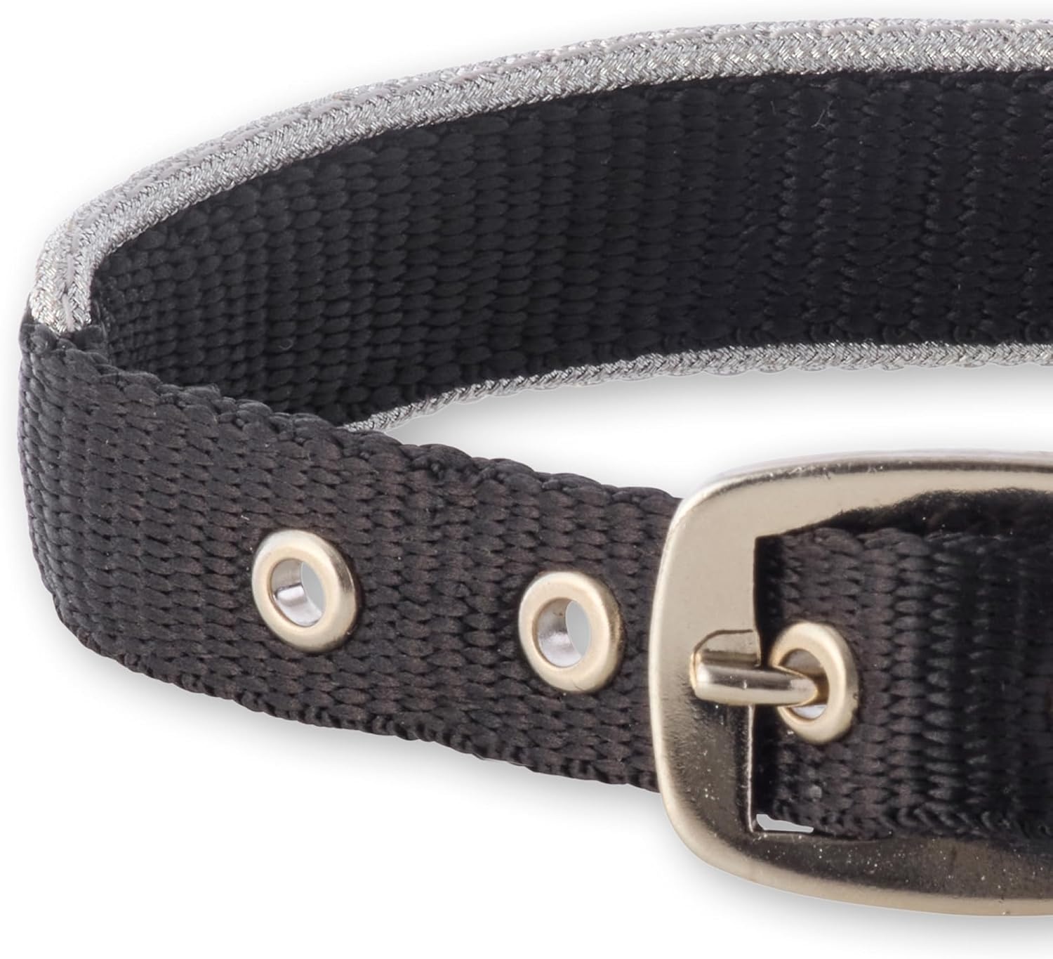 image:imagePet Passion Adjustable Silver Trimmed Dog Collar for Pets Small Medium and Large Dogs SilverHot Pink XLargeSilver Black