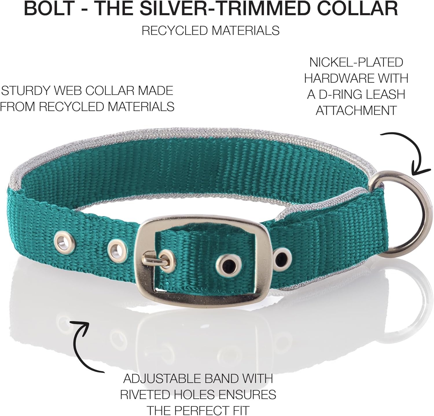 image:imagePet Passion Adjustable Silver Trimmed Dog Collar for Pets Small Medium and Large Dogs SilverHot Pink XLargeSilverTurquoise