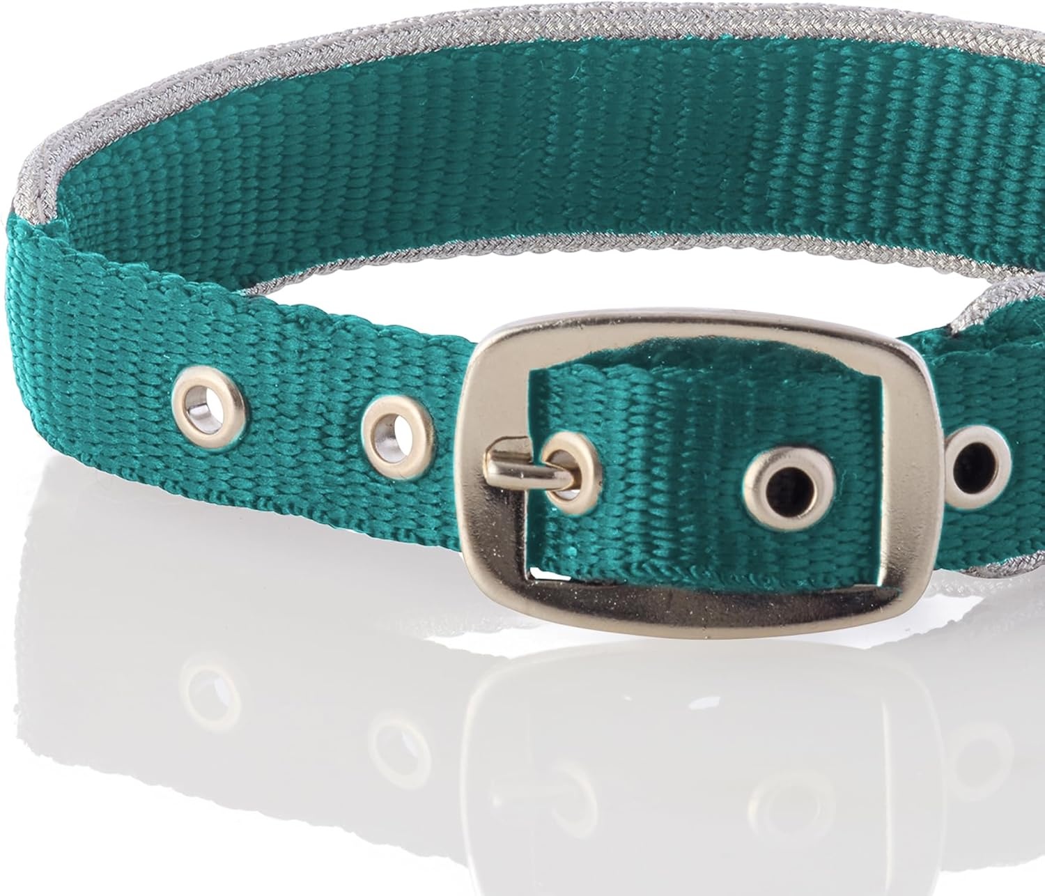 image:imagePet Passion Adjustable Silver Trimmed Dog Collar for Pets Small Medium and Large Dogs SilverHot Pink XLargeSilverTurquoise