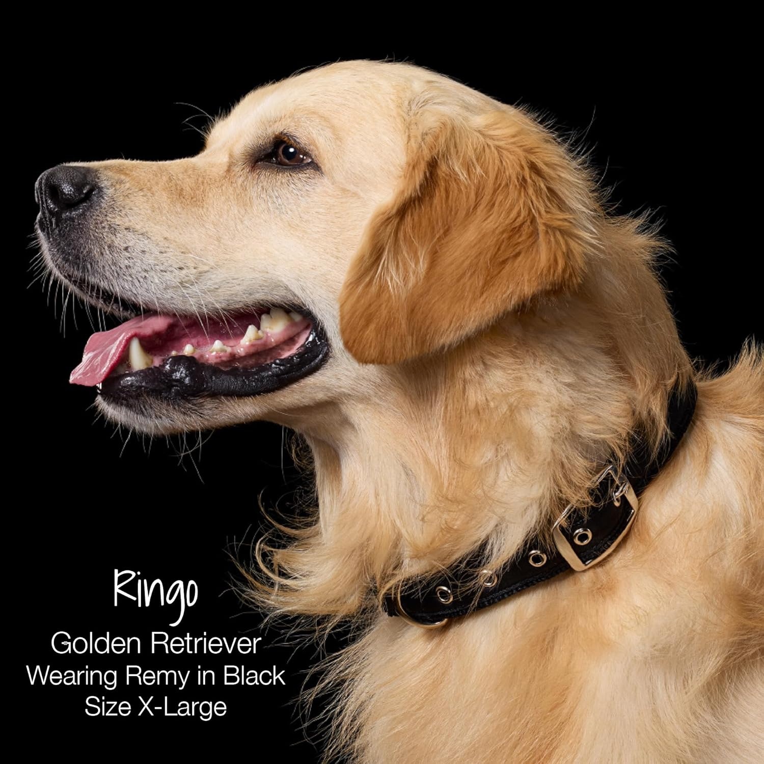 image:imagePet Passion Remy II The Recycled Ribbon Collar Adjustable Pet Dog Collars for Small Medium Large Dogs and Puppy Black Sand XSmallBlack