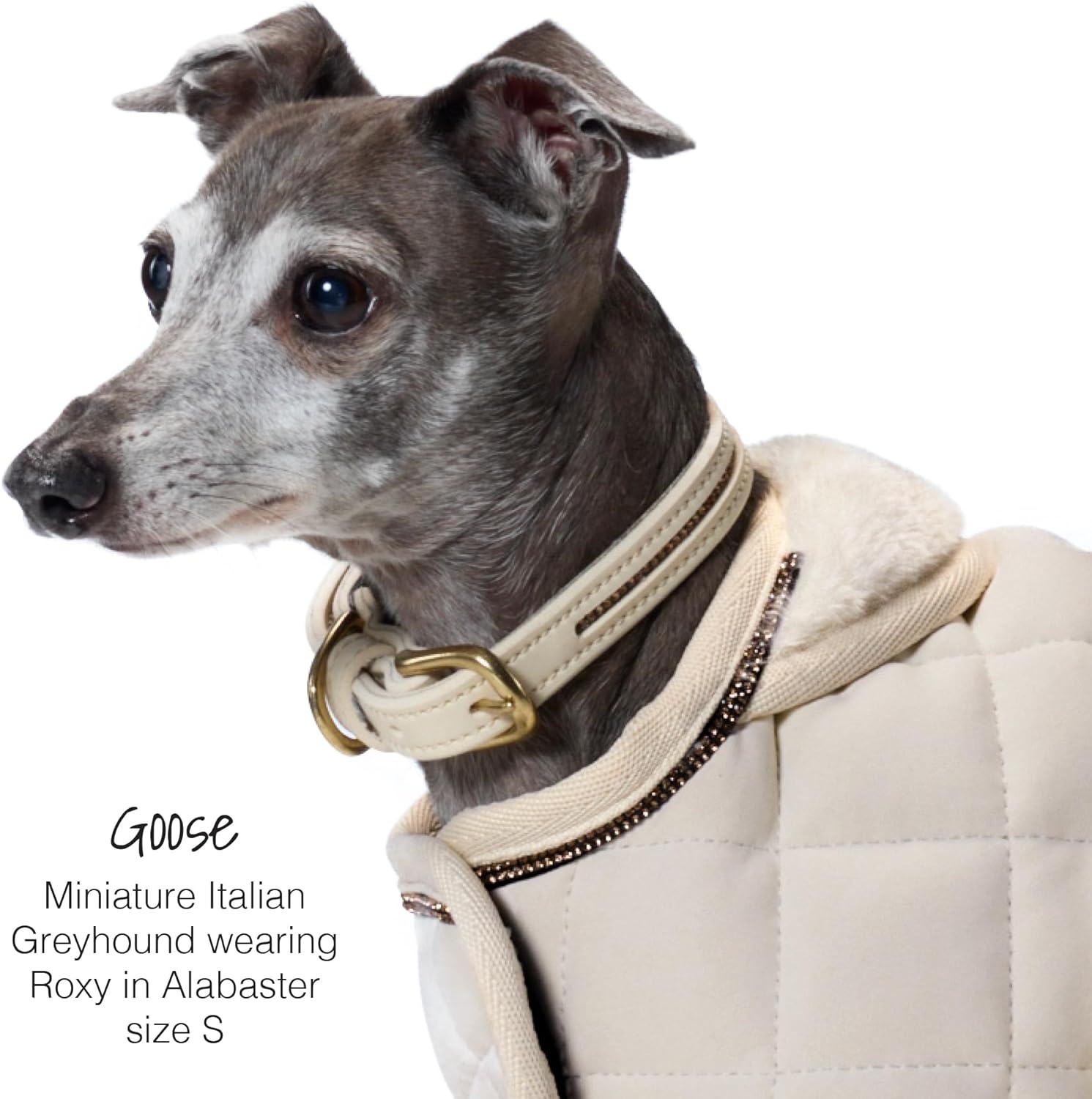 image:imageRoxy The Crystal Bling Collar Durable Vegan Leather with Brass amp Crystals Pet Collars Small Medium Large Dogs Alabaster XXLarge 29Blush