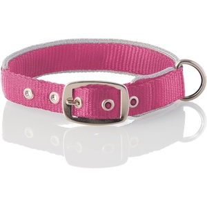 image:imagePet Passion Adjustable Silver Trimmed Dog Collar for Pets Small Medium and Large Dogs SilverHot Pink XLargeSilverHot Pink