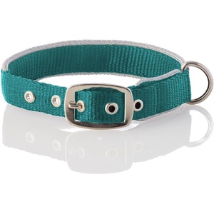 image:imagePet Passion Adjustable Silver Trimmed Dog Collar for Pets Small Medium and Large Dogs SilverHot Pink XLargeSilverTurquoise