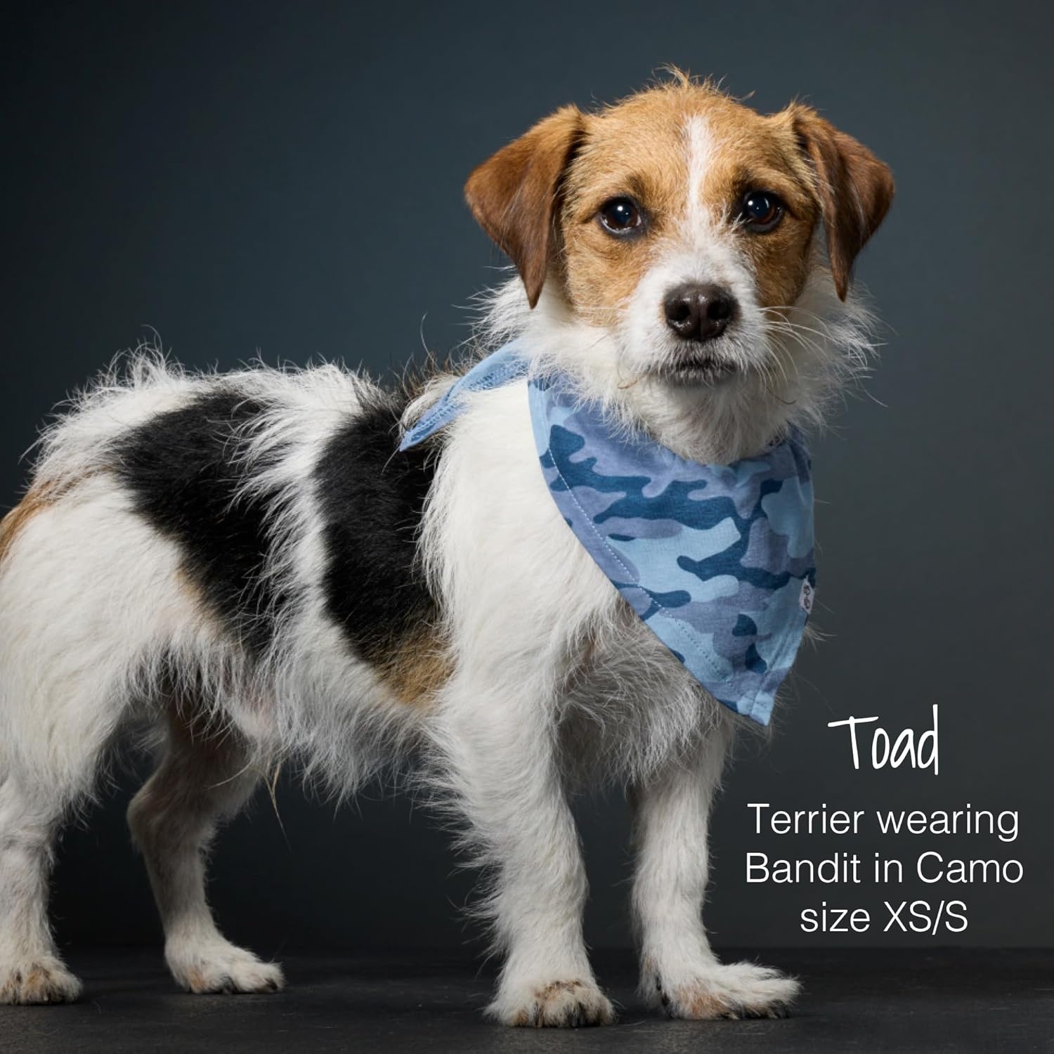 image:imagePet Passion Bandit The PET Bandana 100 Organic Cotton Pet Bandanas Clothes for Small Medium Large Dogs 2Pack Candy Corn XSmallSmall2Pack Navy Camo