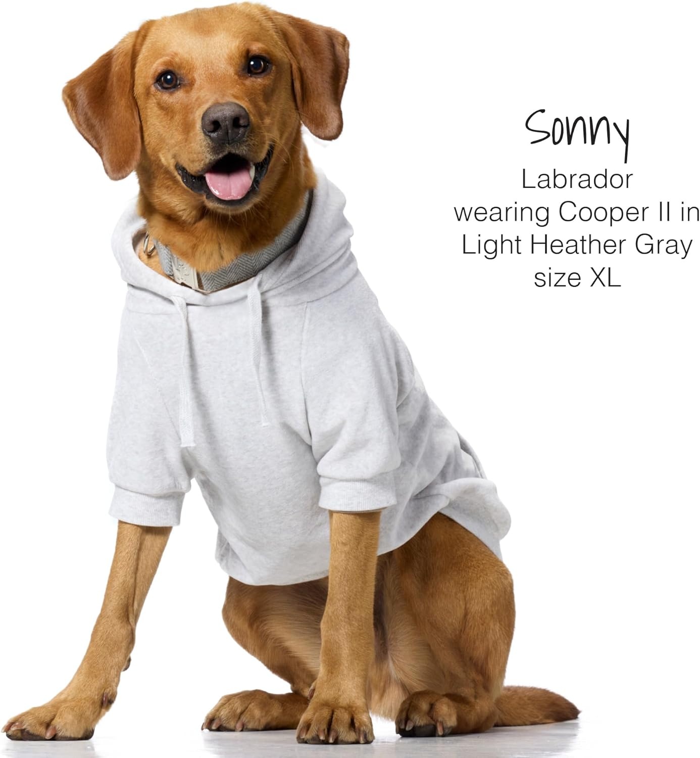 image:imagePet Passion Cooper II Organic Cotton Velour Dog Hoodie Pet Coat for Small Medium and Large Dogs Black XXSmall 47 lbsLight Heather Gray
