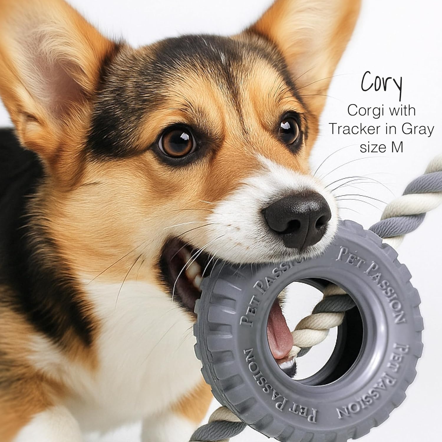 image:imagePet Passion Natural Rubber Tire and Organic Cotton Rope Pull and Chew Dog Toy for All Pet Breeds Black LargeGray