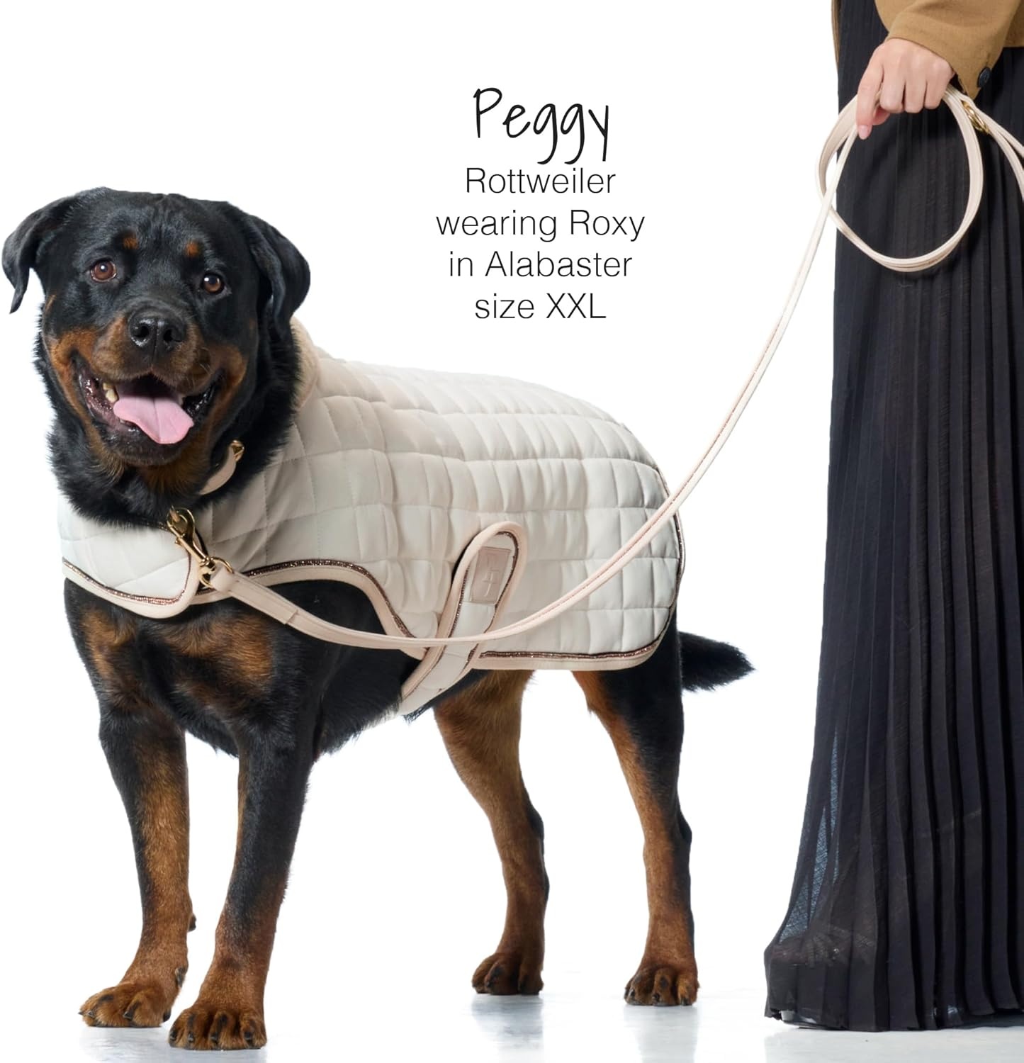 image:imagePet Passion Quilted Dog Coat Pet Jacket with Crystal Bling for Small Medium and Large Dogs Black LargeAlabaster
