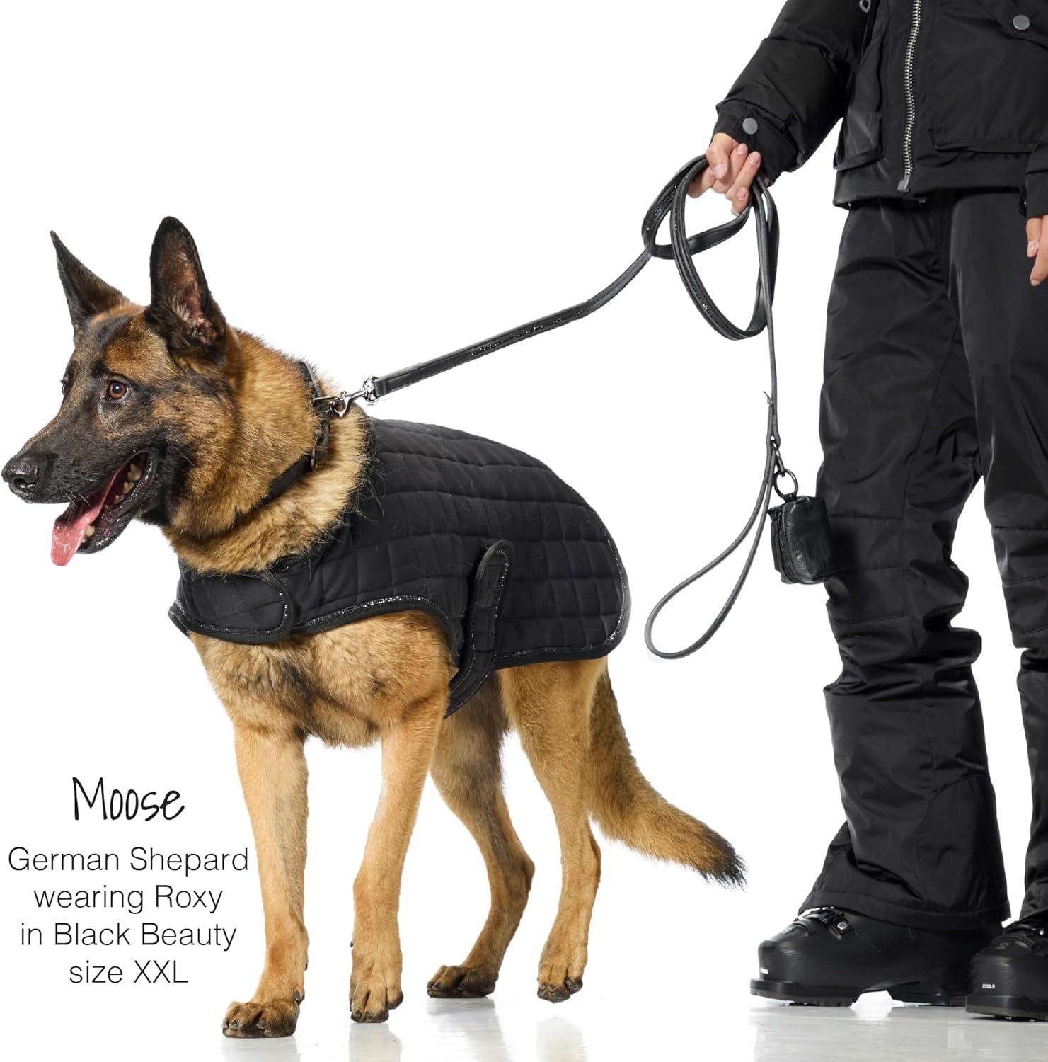 image:imagePet Passion Quilted Dog Coat Pet Jacket with Crystal Bling for Small Medium and Large Dogs Black LargeBlack Bling