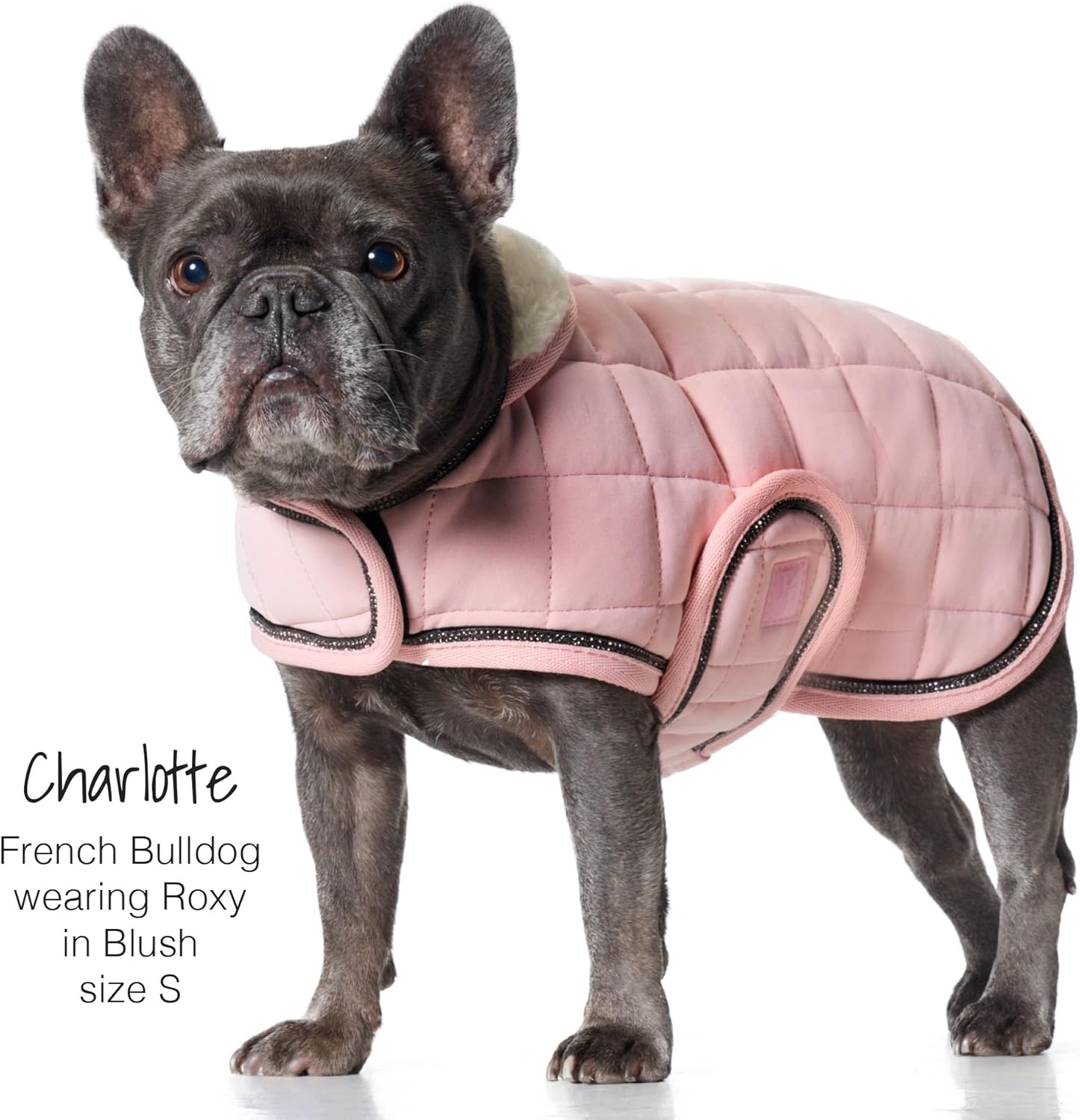 image:imagePet Passion Quilted Dog Coat Pet Jacket with Crystal Bling for Small Medium and Large Dogs Black LargeBlush