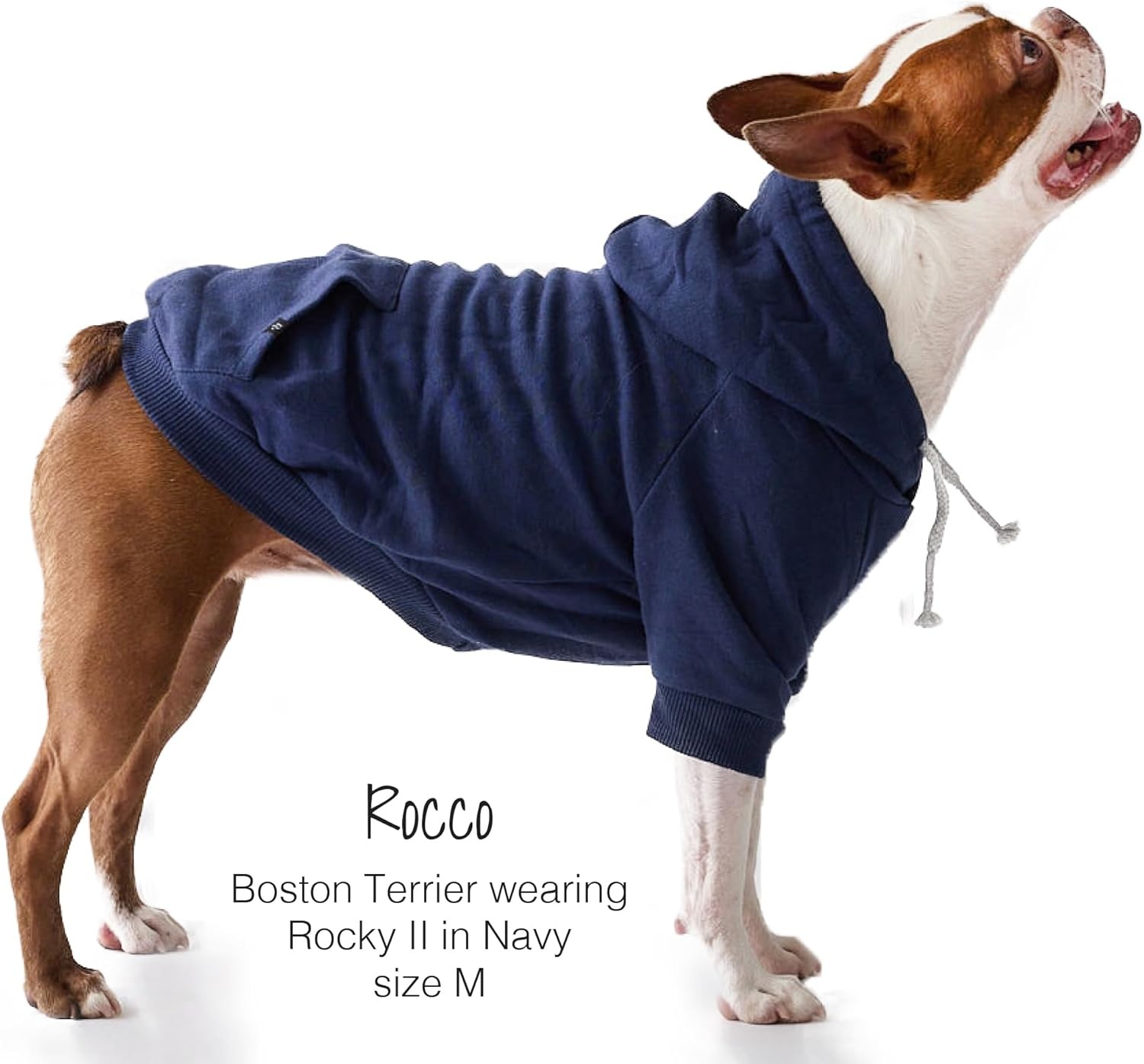 image:imagePet Passion Rocky II The Extra Comfy Hoodie Organic Cotton and Recycled Poly Dog Hoodie Pet Coat Sweater for Small Medium Large Dogs Black Sand Plaid SmallNavy