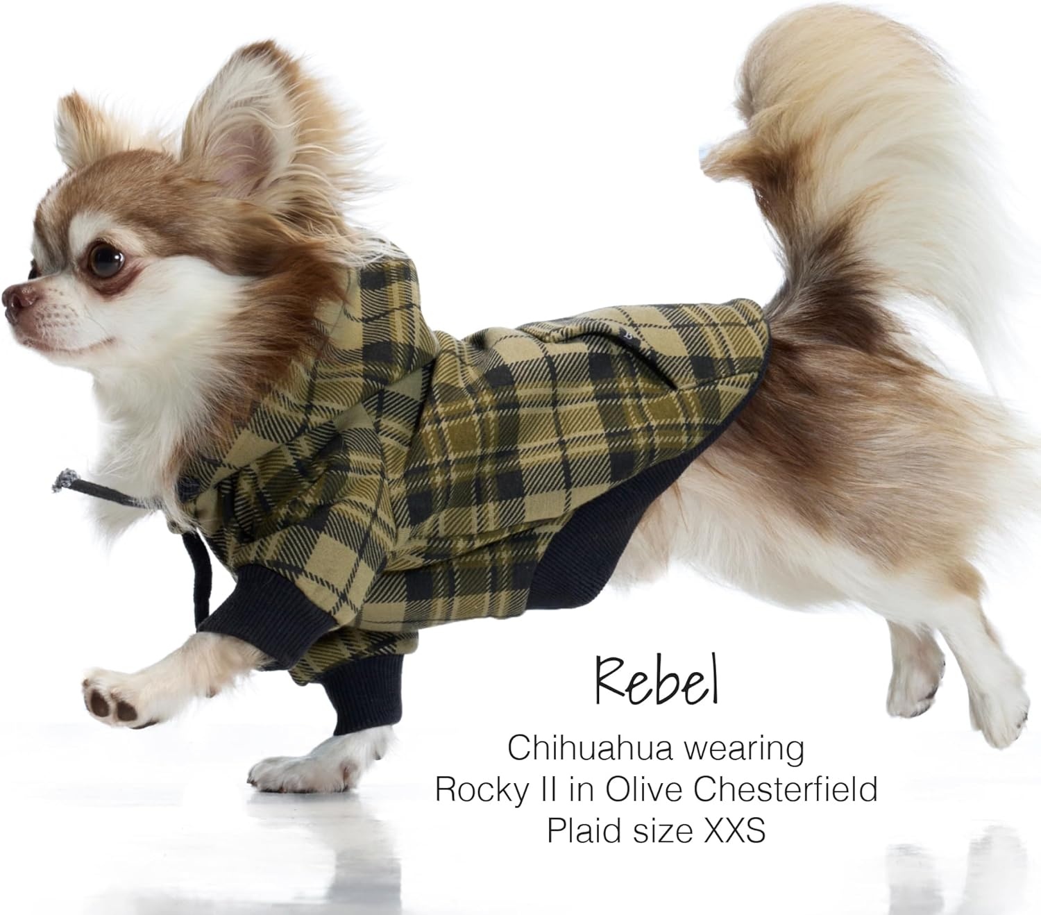 image:imagePet Passion Rocky II The Extra Comfy Hoodie Organic Cotton and Recycled Poly Dog Hoodie Pet Coat Sweater for Small Medium Large Dogs Black Sand Plaid SmallOlive Chesterfield Plaid