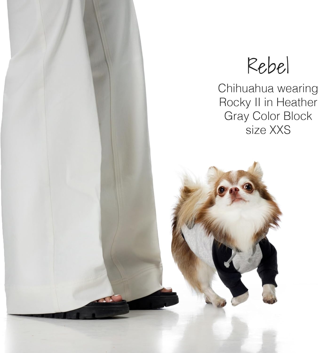 image:imagePet Passion Rocky II The Extra Comfy Hoodie Organic Cotton and Recycled Poly Dog Hoodie Pet Coat Sweater for Small Medium Large Dogs Black Sand Plaid SmallHeather Gray Color Block