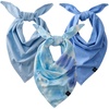 1-Pack Blue Tie Dye