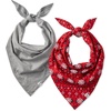 2-Pack Red Fair Isle