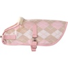 Pink Argyle