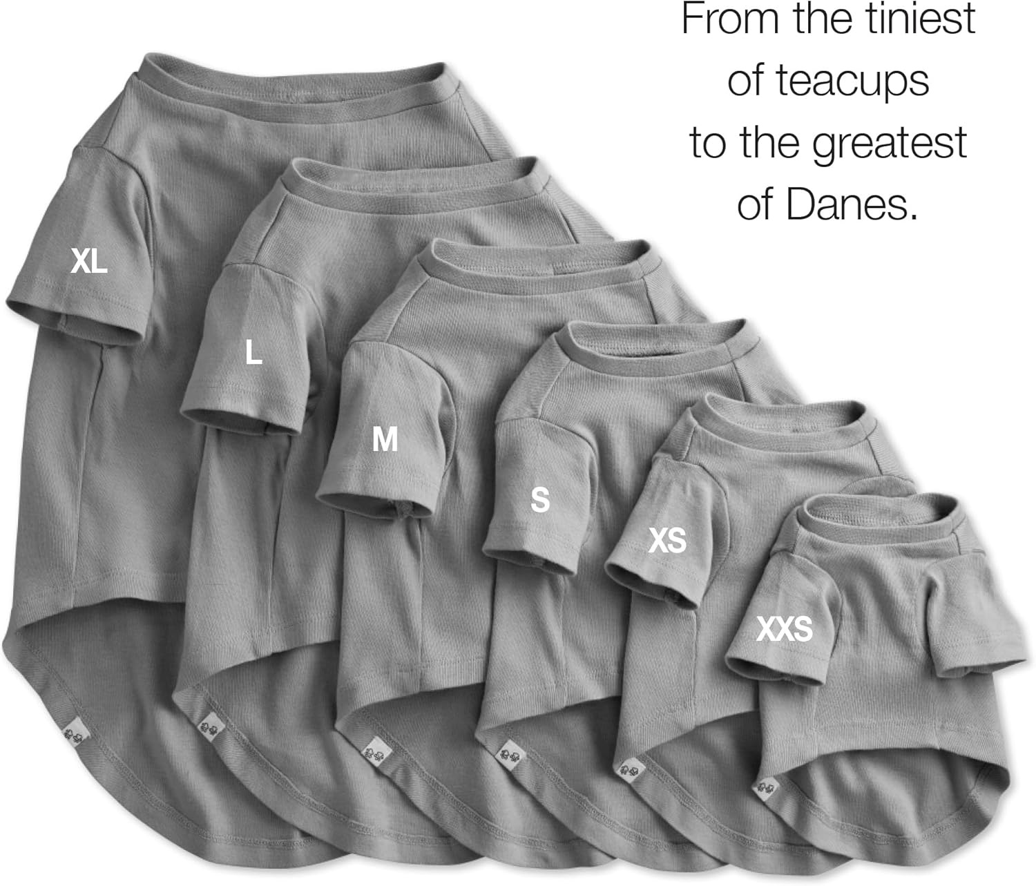 image:imagePet Passion Toby 3Pack 100 Organic Cotton Dog Short Sleeve TShirt Pet Tees for All Breeds Gray Ombre XSmall 512 lbsGray Ombre
