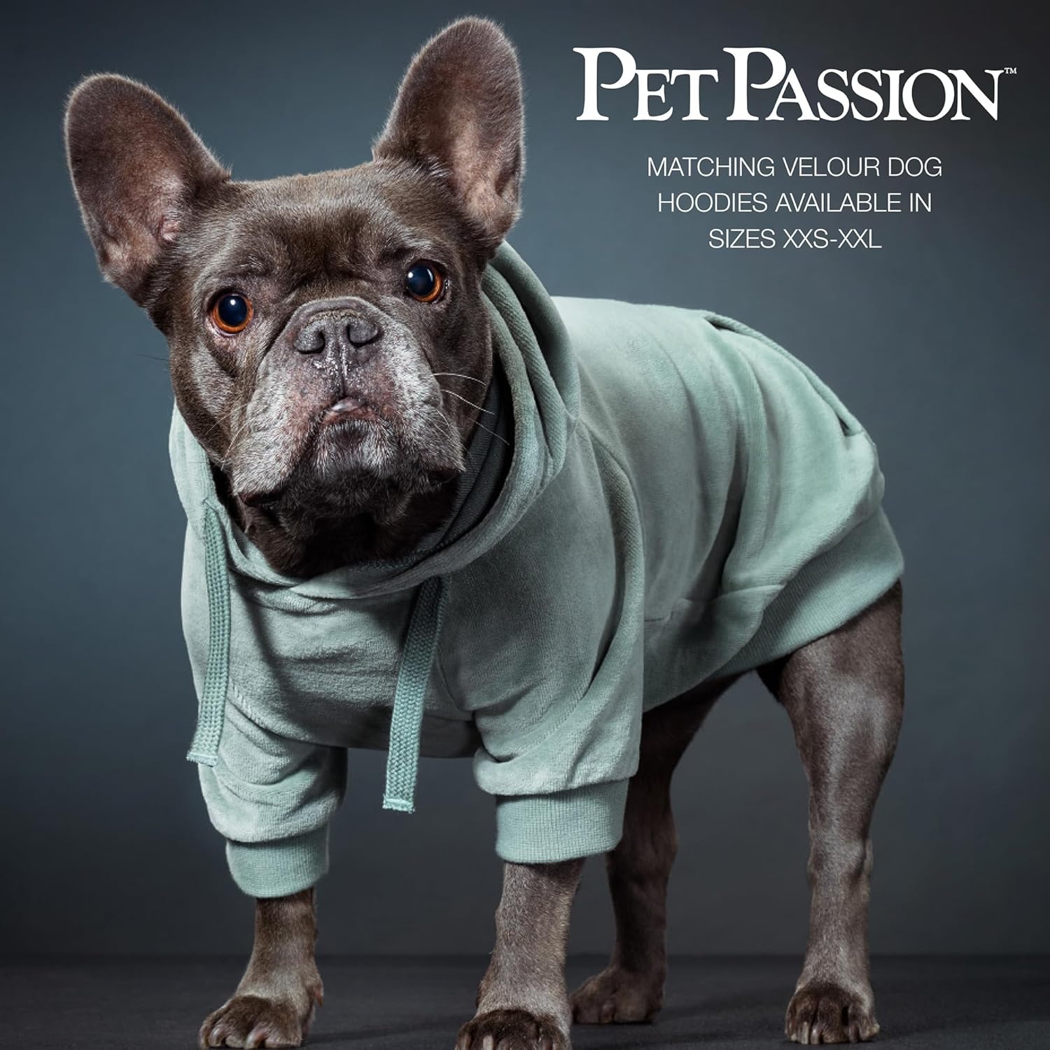 image:imagepet Passion Cooper II People Packs The Plush Organic Cotton Velour Sweatsuit 2Piece Top Pants Set Baby and ToddlerSage
