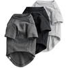 Gray Ombre
