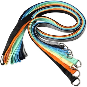 image:imagePet Passion 8Pack Slipon Style Dog Leash in Rainbow Colors 7 ft for All Pet Breeds Rainbow Blues One SizeRainbow Blues