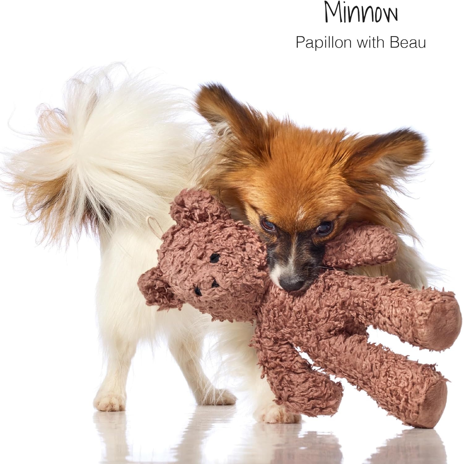 image:imagePlush Durable Cotton Dog Toys with Coconut Fill for All Pet Breeds Bear Bunny Elephant with Basket One SizeBear Bunny Elephant with Basket
