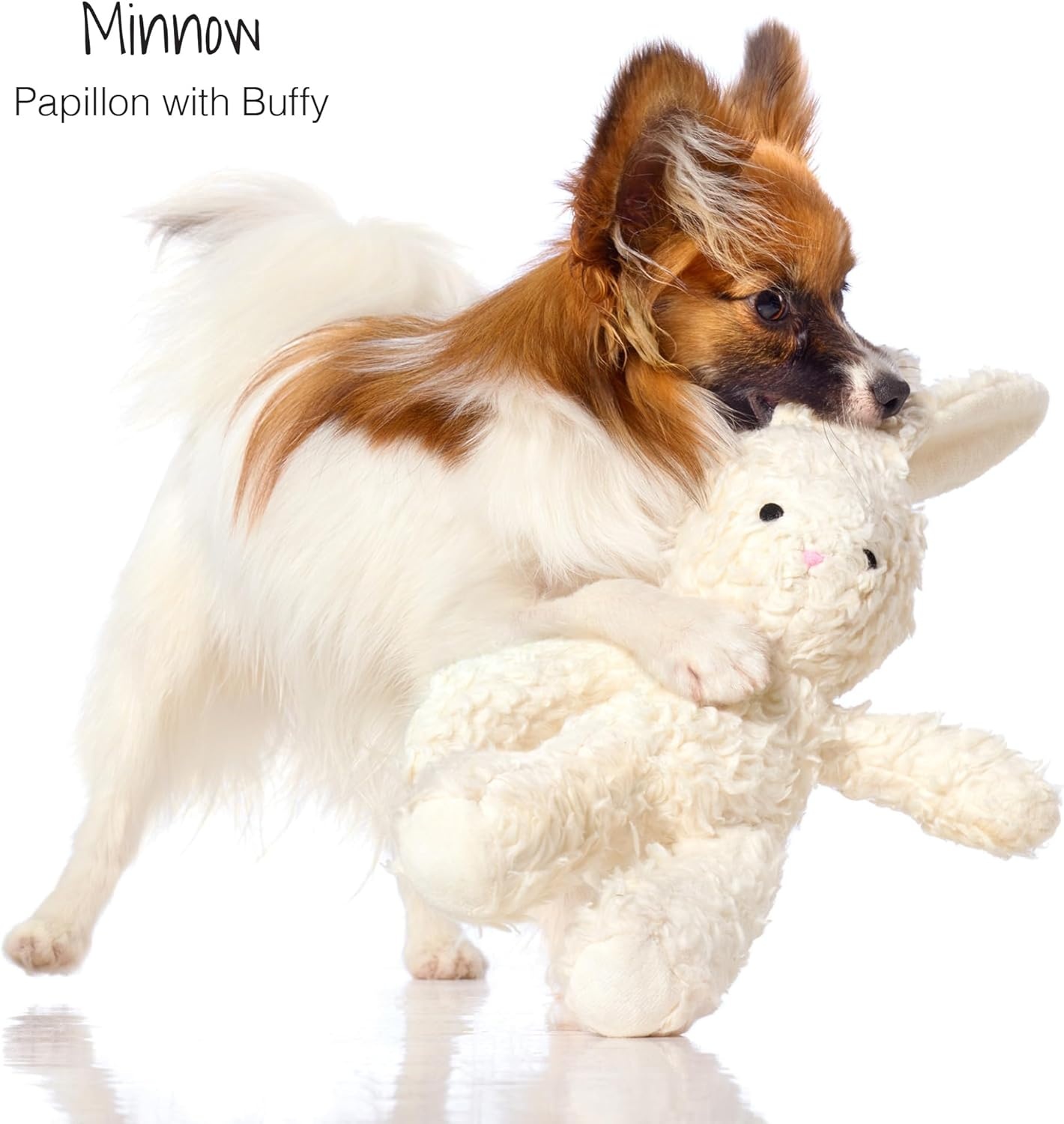 image:imagePlush Durable Cotton Dog Toys with Coconut Fill for All Pet Breeds Bear Bunny Elephant with Basket One SizeBear Bunny Elephant with Basket