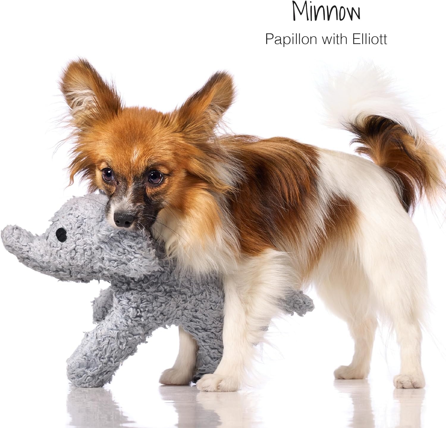 image:imagePlush Durable Cotton Dog Toys with Coconut Fill for All Pet Breeds Bear Bunny Elephant with Basket One SizeBear Bunny Elephant with Basket
