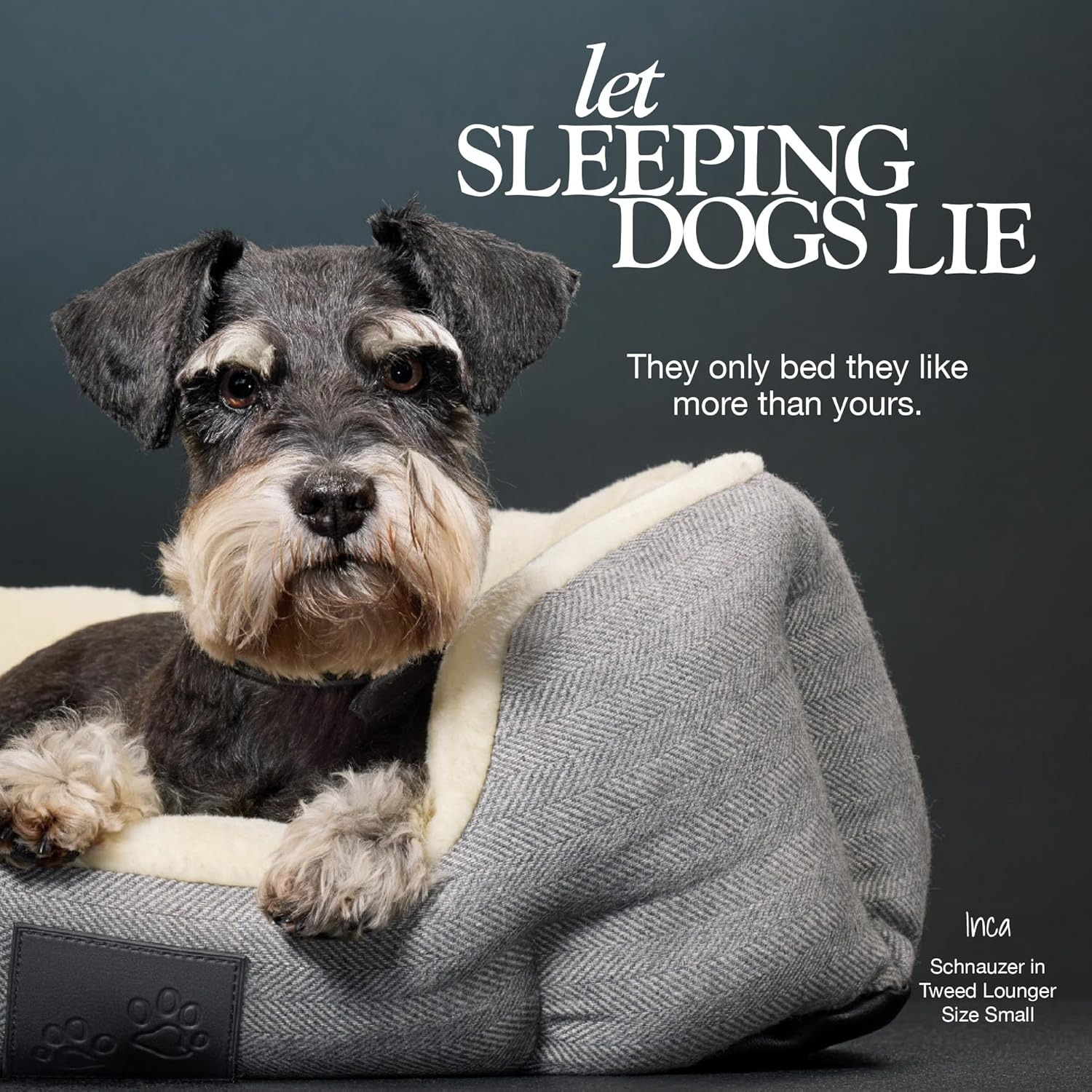 image:imagePet Passion MelloThe Ultra Luxe Bolster Dog Bed with Removable Washable Pillow for All Pet Breeds Ivory Tweed SmallCharcoal Heather Grey